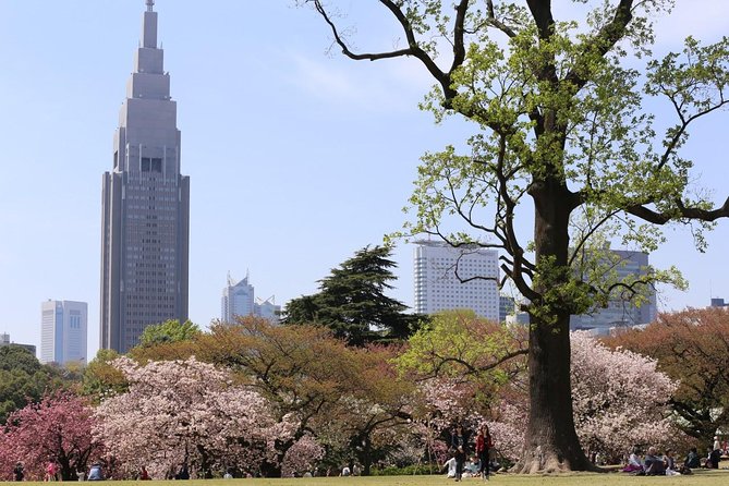 Shared Arrival Transfer : Haneda Airport to Central Tokyo City - Shared Ride Reality: Van or Coach, Comfort, and the Group Advantage