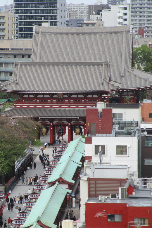 Shuttle Van Tokyo-Tour, for 4 Hours or 6 Hours+Transfer Time - Entering Tokyo: Imperial Palace area as your orientation starter
