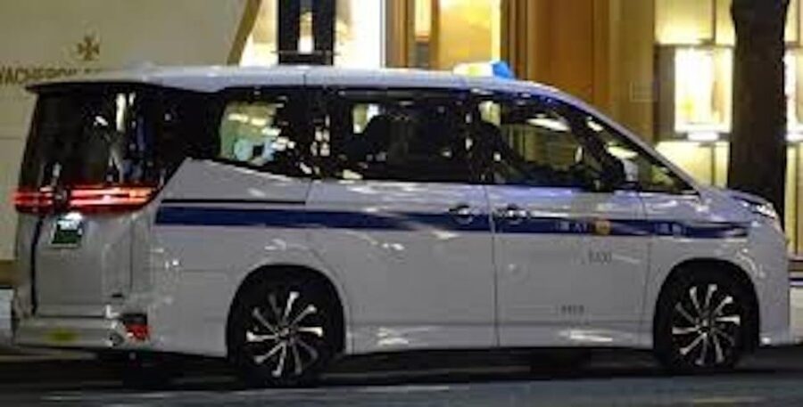 Shuttle Van Tokyo-Tour, for 4 Hours or 6 Hours+Transfer Time - Meiji Jingu and Tsukiji Outer Market: the 6-hour upgrade that adds contrast