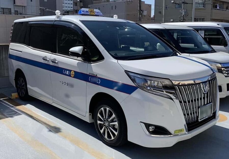 Shuttle Van Tokyo-Tour, for 4 Hours or 6 Hours+Transfer Time - Flexible route magic: swapping in Skytree or teamLab without breaking your day