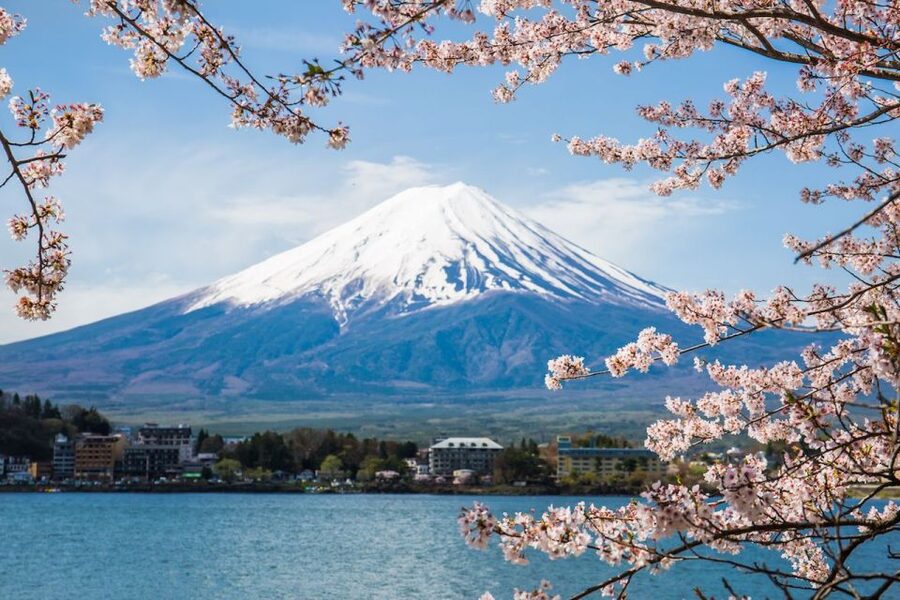 Sightseeing Day Trip to Mount Fuji and Hakone Green Number - How the guide turns stops into a real experience