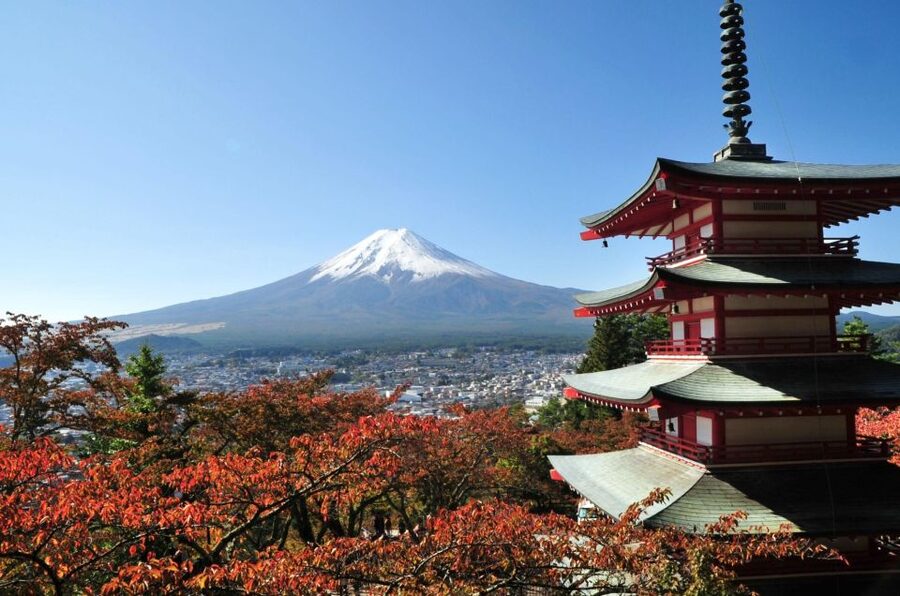 Sightseeing Day Trip to Mount Fuji and Hakone Green Number - Choosing Your Route: Fuji plus Hakone vs Fuji-only focus