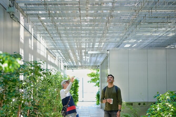Small-Group Architecture Tour in Ginza, Tokyo - Key points before you go