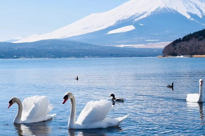 Small Group Mt. Fuji, Lake Kawaguchi&Yamanaka Hotel Pickup Option - Tokyo Station Pickup: The Difference Between Smooth and Stressful