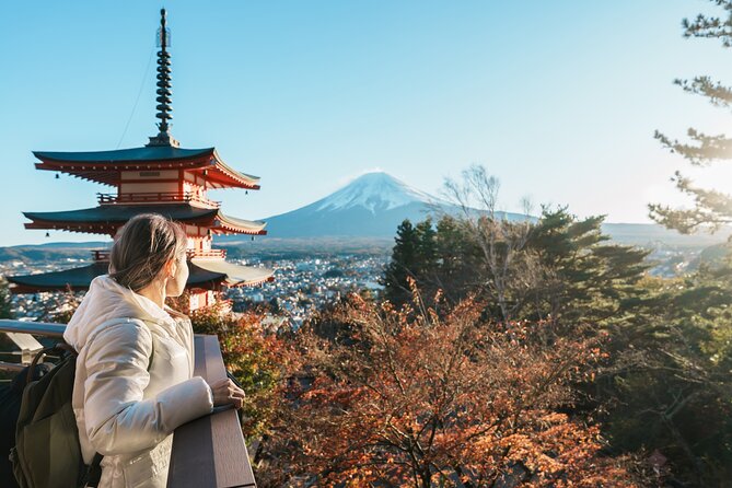 Small Group Tour Mount Fuji and Lake Kawaguchi from Tokyo - Oishi Park on Lake Kawaguchi: where the Fuji photo odds improve
