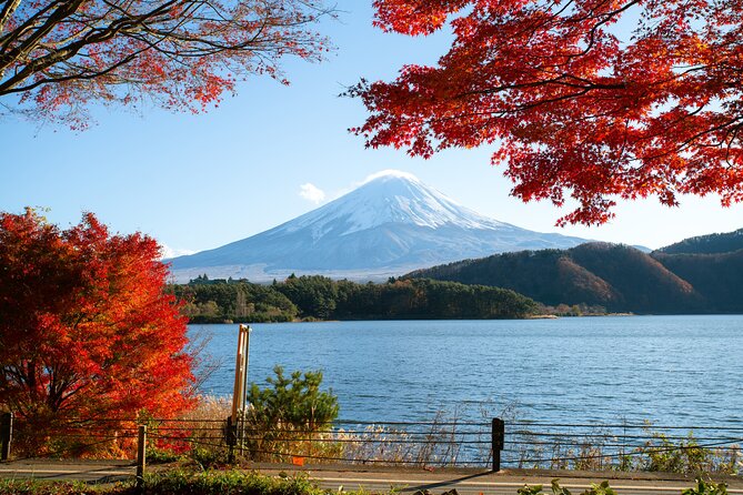 Small Group Tour Mount Fuji and Lake Kawaguchi from Tokyo - Small group comfort, guide style, and how to make the most of it