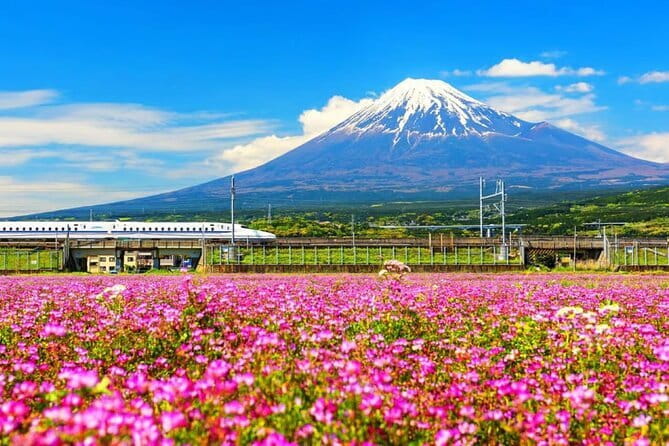 Snow Experience at Mt.Fuji, Hakone Pirate Ship & Gotemba Premium Outlet - English guide support: helpful, but don’t assume a live interpreter every moment