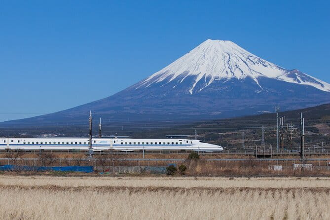 Snow Experience at Mt.Fuji, Hakone Pirate Ship & Gotemba Premium Outlet - Price and value: what $95 buys you in this one-day package