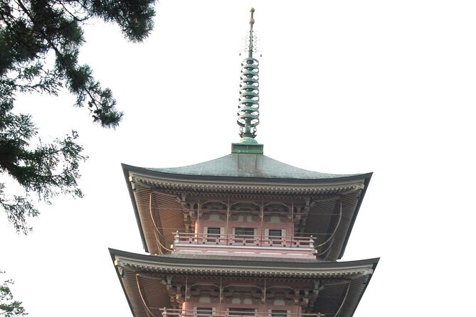 Snow Monkey Park & Zenkoji Temple Nagano Pvt. Full Day Tour. - Should you book this Tokyo to Nagano private day trip?