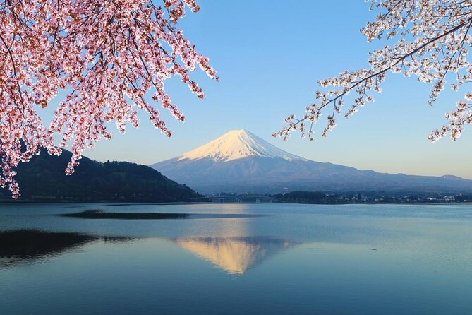 Snow monkeys from Tokyo: Full-Day Private trip with Local Guide - Key highlights at a glance