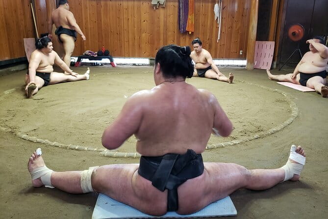 Sumo Practice Viewing Guided Tour and Photo with Sumo Wrestlers - Key things to know before you go