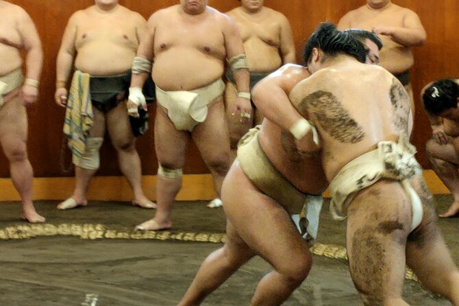 Sumo Training Watching Experience in Tokyo - Key Things to Know Before You Go