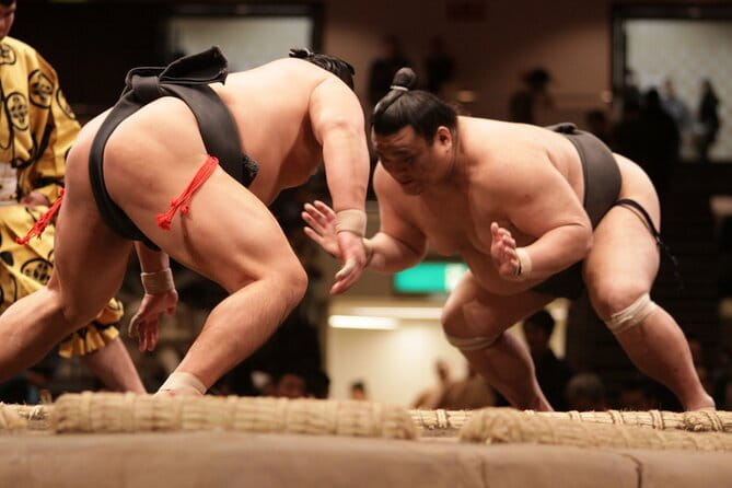Sumo Wrestling Tournament A-Class Seats & ExpertGuide | Tokyo MAY - Key things that make this sumo tour worth your time
