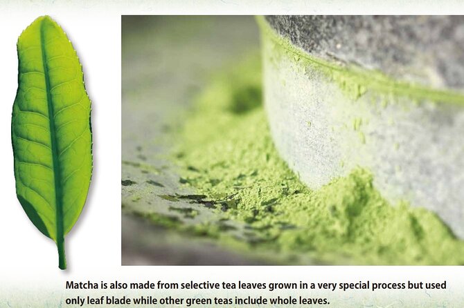 Tea Ceremony Workshop in Tokyo by the Experienced Instrucor - Confections and Tasting Moments That Keep You Grounded
