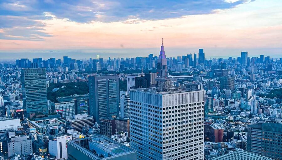 Tokio A: Tour de la ciudad en Español - Spanish - Shinjuku and the viewpoint plan: skyline payoff with a smart backup