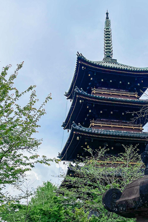 Tokio A: Tour de la ciudad en Español - Spanish - Kabukicho and the Golden Gai feel: neon nightlife, guided and controlled