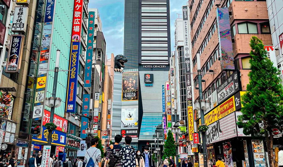 Tokio A: Tour de la ciudad en Español - Spanish - Skip-the-line, hotel pickup, and what $96 really covers