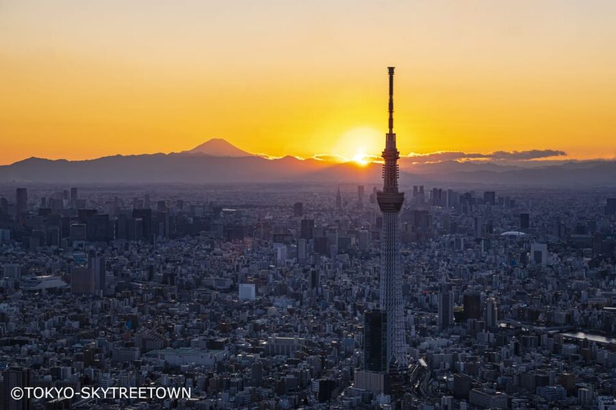 Tokyo: 1 Day Bus Tour with Meiji-Jingu,Odaiba,lunch&Skytree - A one-day Tokyo outline that feels efficient, not exhausting