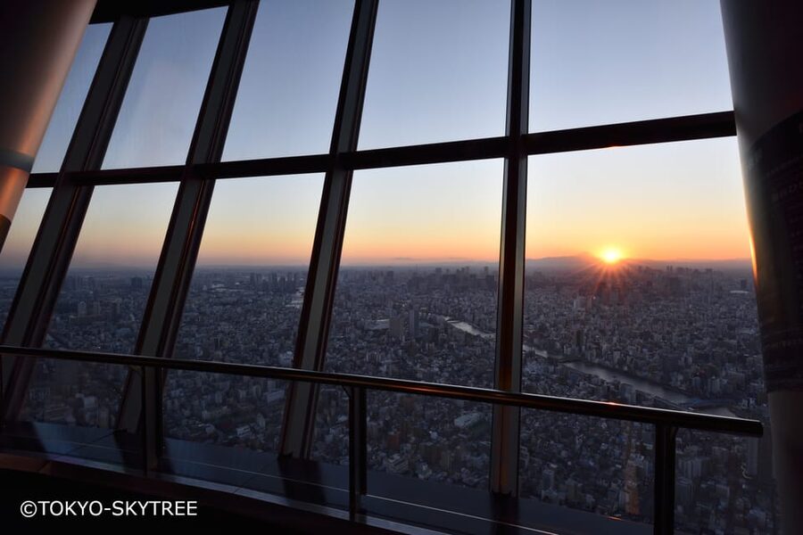 Tokyo: 1 Day Bus Tour with Meiji-Jingu,Odaiba,lunch&Skytree - Meiji-Jingu: torii gates, forest quiet, and a casual tea moment