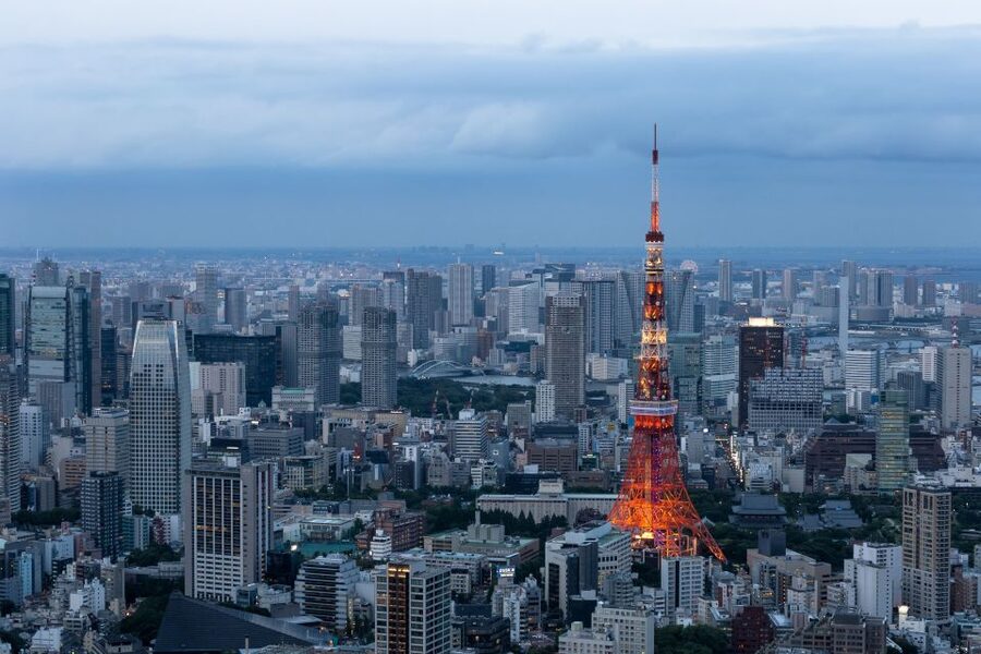 Tokyo: 1-Day Private Customizable Tour by Car - Why a private Tokyo car tour beats the usual transit chaos