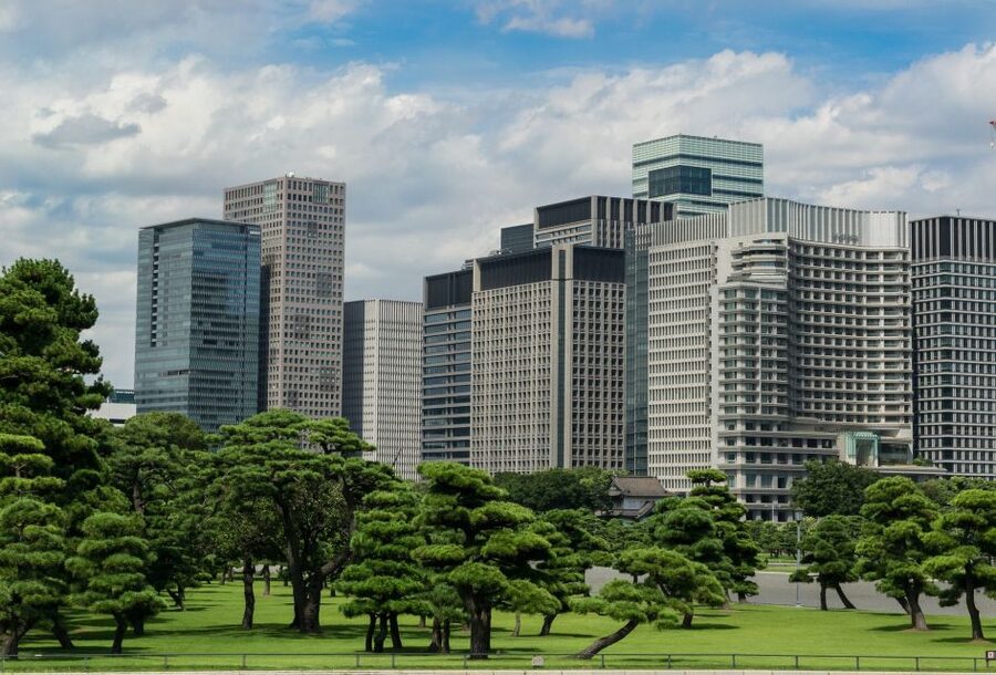 Tokyo: 1-Day Private Customizable Tour by Car - Tokyo Skytree and Imperial Palace East Gardens: views and photos without the full commitment