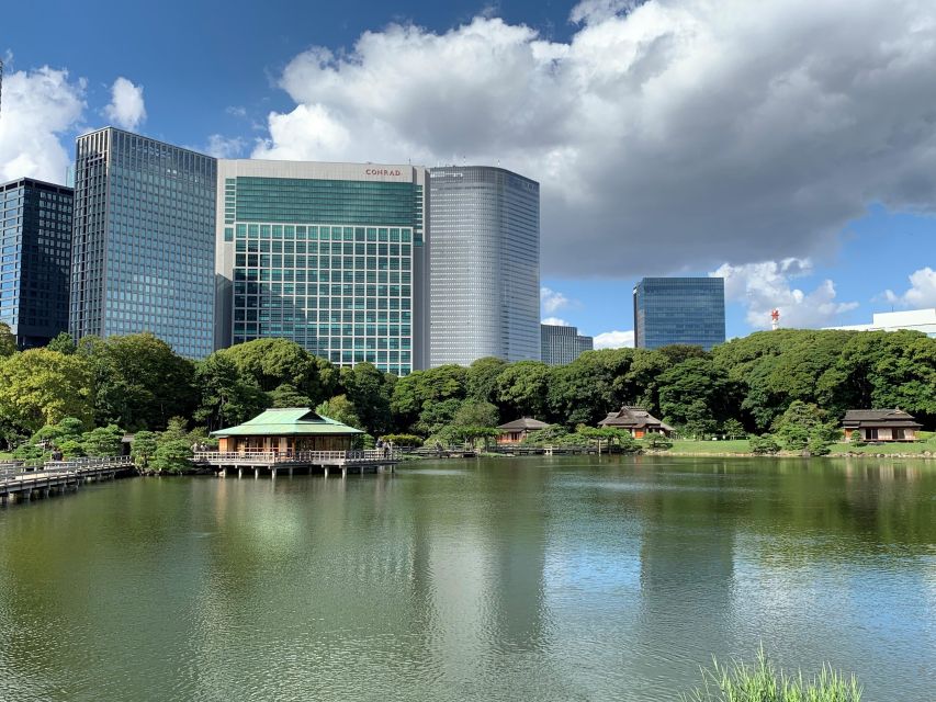 Tokyo: 1-Day Tokyo Private Tailor-made Tour - Meiji Jingu Shrine and Shibuya Crossing: calm meets speed