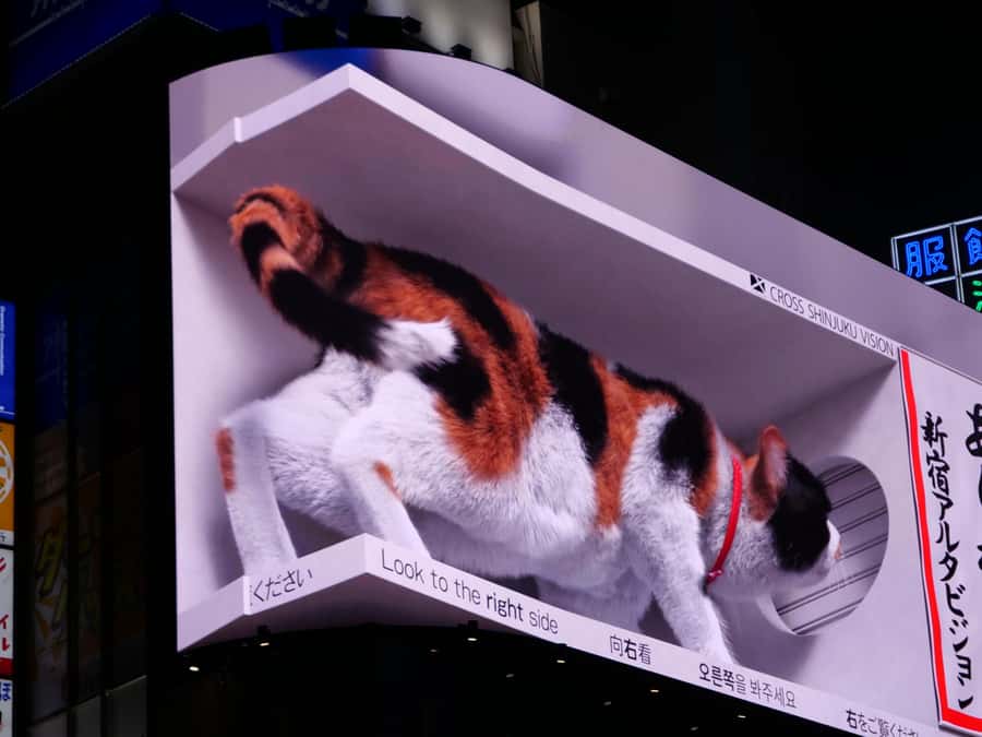 Tokyo: 4 Hours Shibuya - Shinjuku Night Tour - Love Hotels Hill, Shinjuku 3D Cat, and Memory Lane surprises