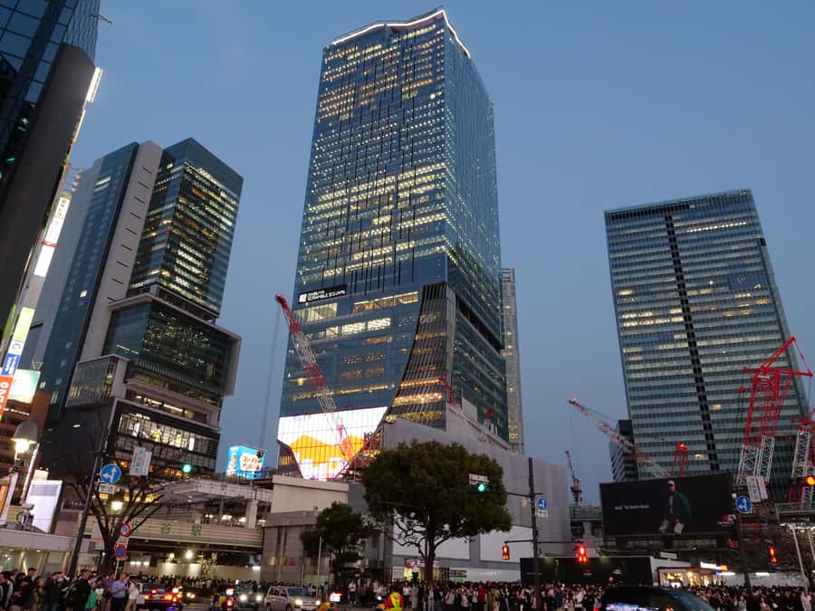 Tokyo: 4 Hours Shibuya - Shinjuku Night Tour - Kabukicho and the Godzilla Head moment