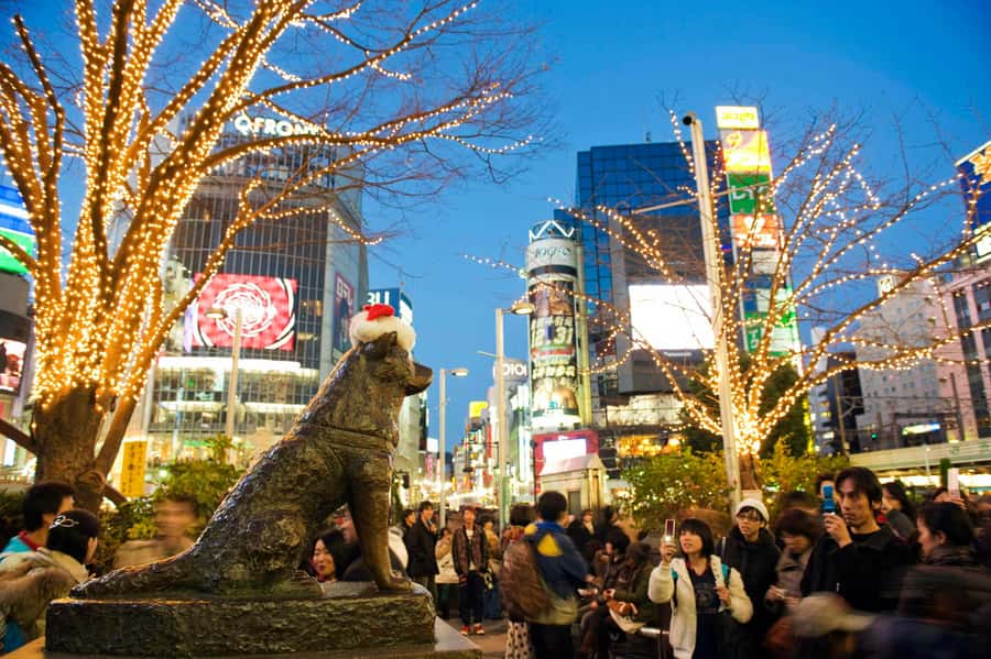 Tokyo: 4 Hours Shibuya - Shinjuku Night Tour - Omoide Yokocho: food alleys with real nighttime character