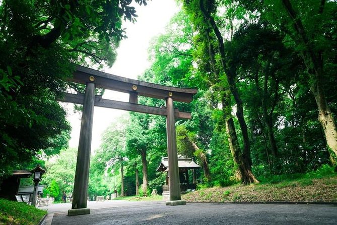 Tokyo 6 hour Tour : English Speaking Driver Only, No Guide - Imperial Palace grounds: what you see when the inside is off-limits