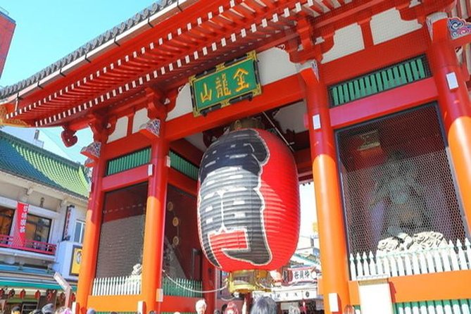 Tokyo 6 hour Tour : English Speaking Driver Only, No Guide - Meiji Jingu Shrine: a free, calm reset in Shibuya