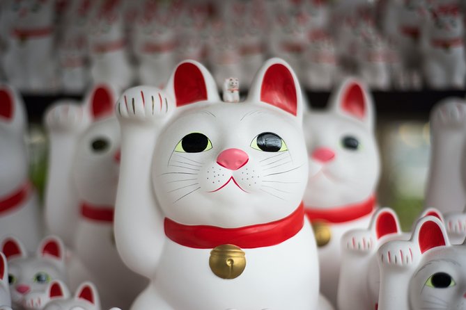 Tokyo 6 hours Customized Private Tour - What you’re really buying with a 6-hour customized private tour