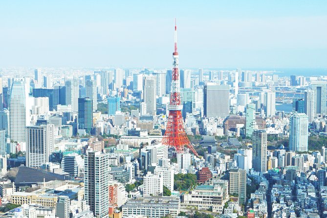 Tokyo 6 hours Customized Private Tour - A closer look at your 6-hour Tokyo experience (what happens during the day)