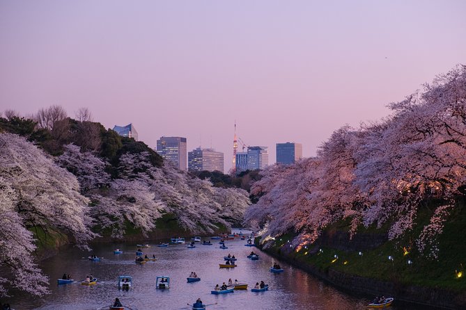 Tokyo 6 hours Customized Private Tour - How the guide handles Tokyo’s “where do we go next?” problem