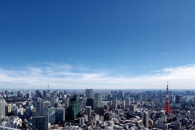 Tokyo 6hr Instagram Highlights Private Tour with Licensed Guide - Included Stuff You Should Actually Care About