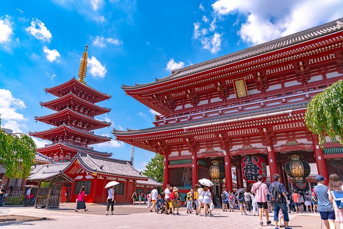 Tokyo 6hr Instagram Highlights Private Tour with Licensed Guide - Who Should Book This Tour