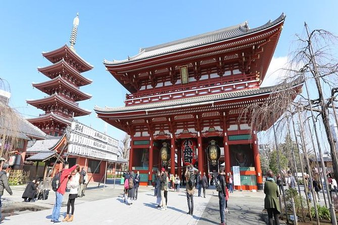 Tokyo 6hr Private Guided Tour & Japanese Sweets Making Experience - Akihabara and Shinjuku Golden Gai: Two Kinds of Tokyo Fun