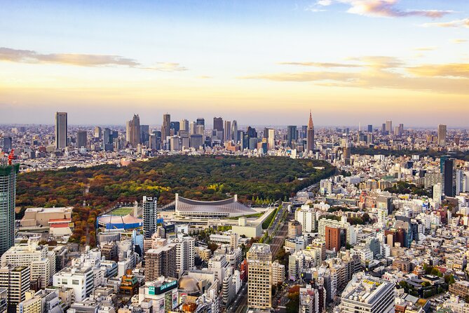 Tokyo 8hr Private Tour with Licensed Guide from Yokohama - Stop-by-Stop: Your Tokyo Day, From Imperial Edges to Neon Streets
