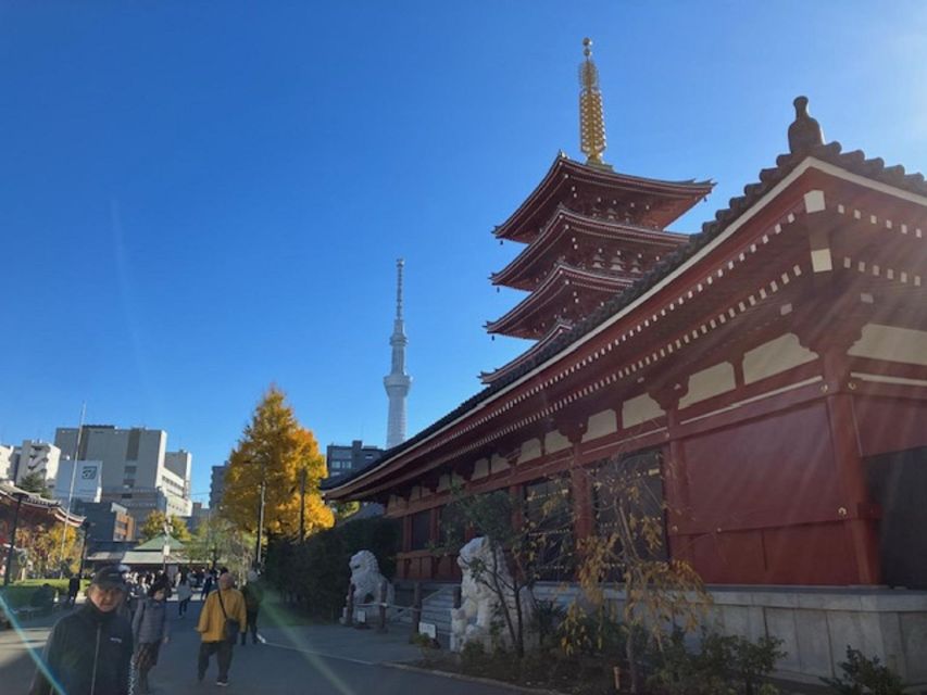 Tokyo: A Half-Day Trip Bus Tour in the Morning - Why the $40 price can be good value (and when it’s not)