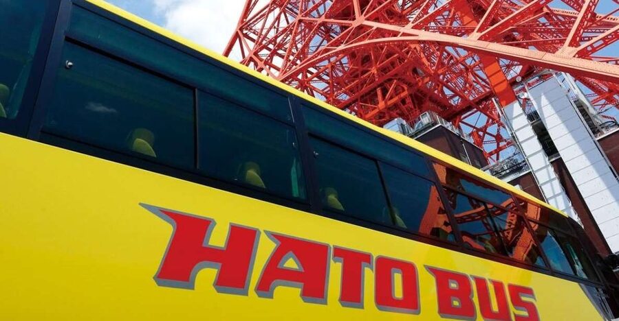 Tokyo: A Half-Day Trip Bus Tour in the Morning - Guide style: why names like Yuko and Azumi keep popping up