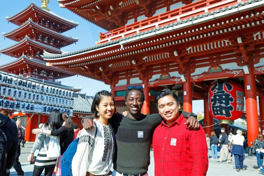 Tokyo: A Half-Day Trip Bus Tour in the Morning - Comfort and timing: the morning format in hot or crowded seasons