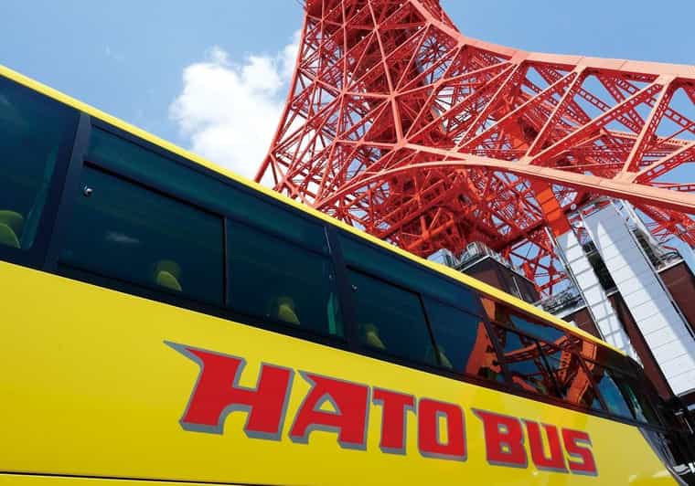 Tokyo: A Half-Day Trip Bus Tour in the Morning - Getting to the bus: Shinjuku or Tokyo Station meeting points