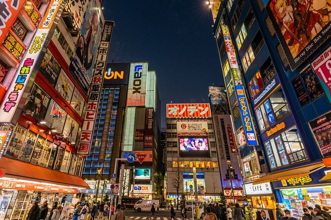 Tokyo Afternoon Tour with Pick-up Service from designated hotels - Passing Tokyo Sky Tree, Kappabashi, and Ueno without losing the thread