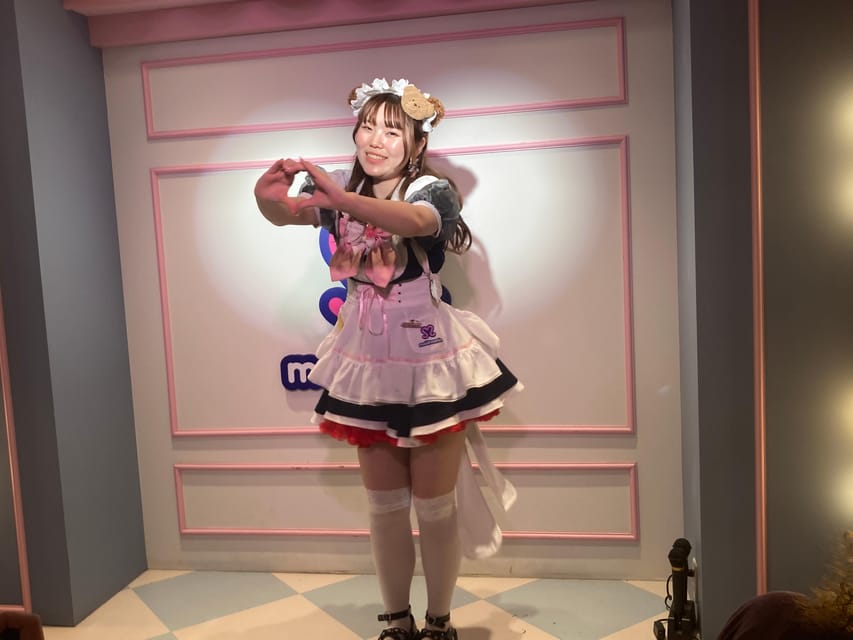Tokyo Akihabara, Anime, Manga, Video Games & Maid Cafe Tour - Who benefits most from this tour