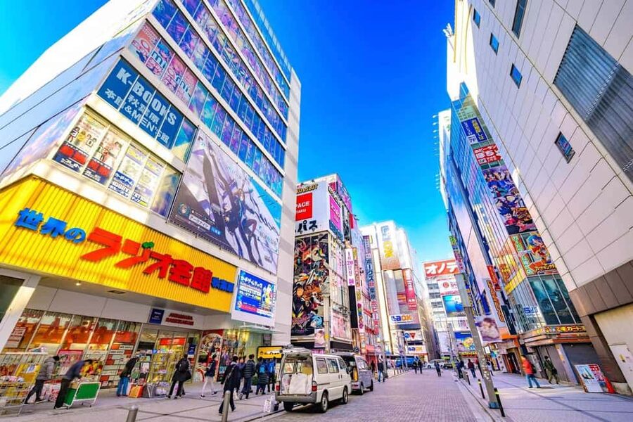 Tokyo Akihabara Anime walking tour & Maid Cafe option - Key points that matter