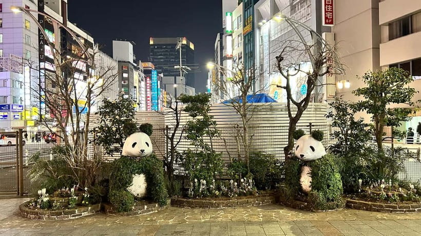 Tokyo: Akihabara, Shibuya, Karaoke & City Lights Night Tour - Key things I’d plan around