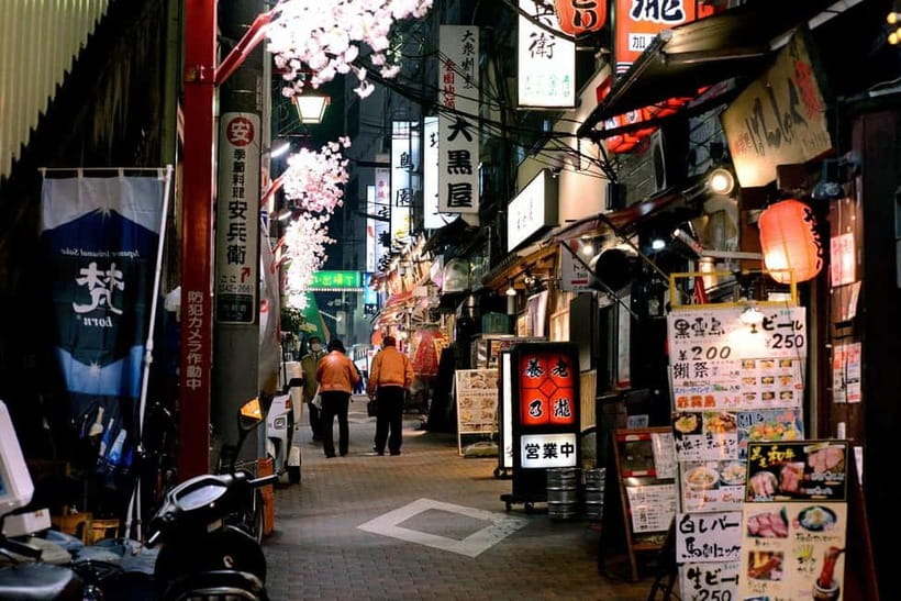Tokyo: Akihabara, Shibuya, Karaoke & City Lights Night Tour - What kind of traveler should book this?