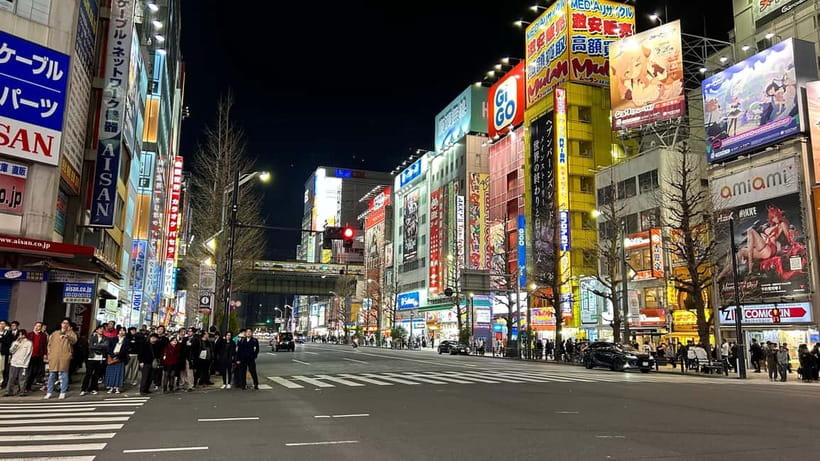 Tokyo: Akihabara, Shibuya, Karaoke & City Lights Night Tour - Shinjuku and Kabukichō: walking the entertainment district lights