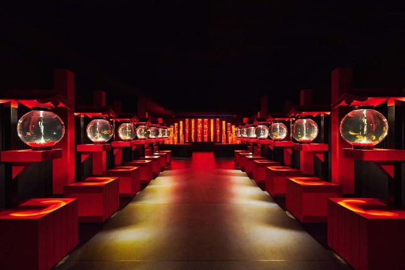 Tokyo: Art Aquarium Museum GINZA Entry Ticket - Goldfish displays: beauty, color, and how the exhibits frame movement