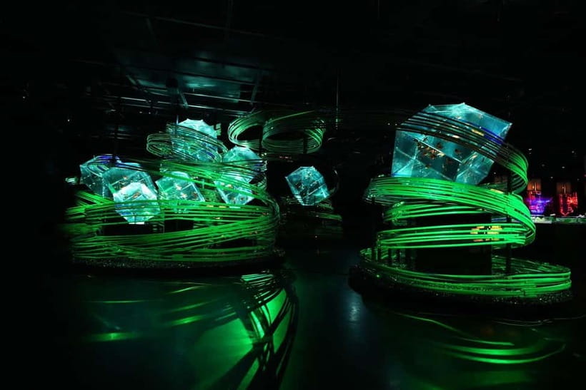 Tokyo: Art Aquarium Museum GINZA Entry Ticket - Price and value: is $17 worth 1 hour?